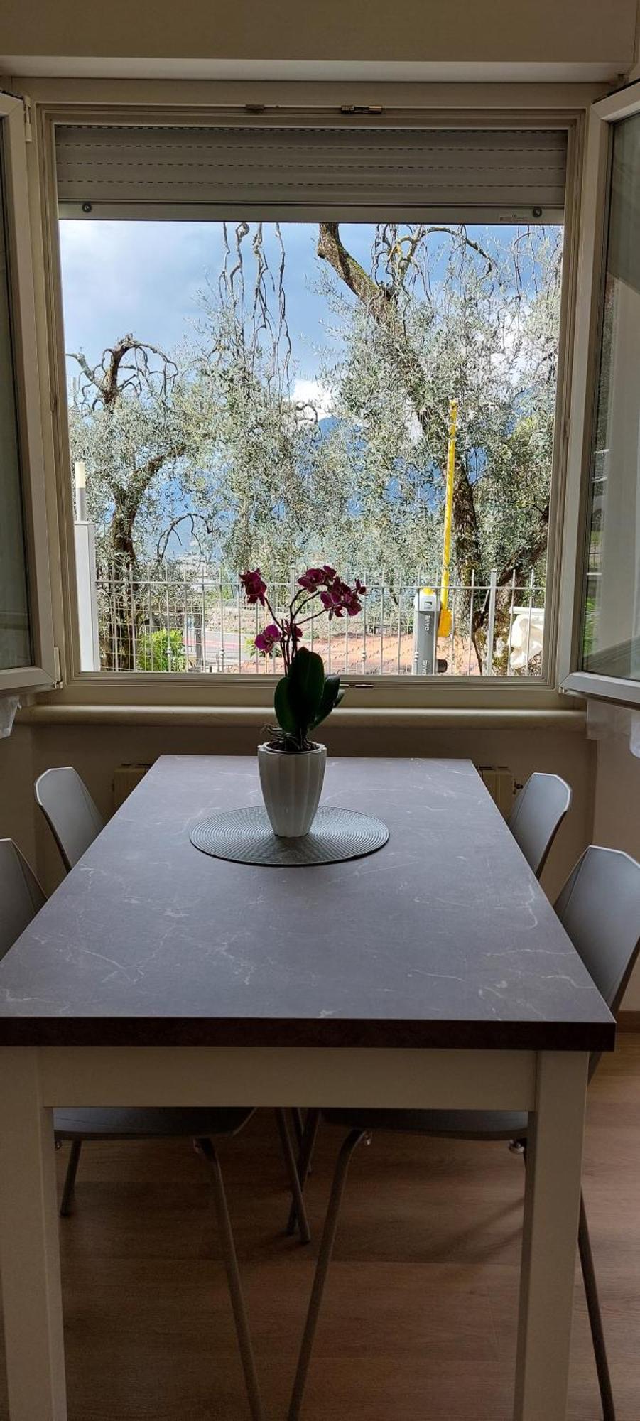 Marigarda Apartments Assenza di Brenzone Dış mekan fotoğraf