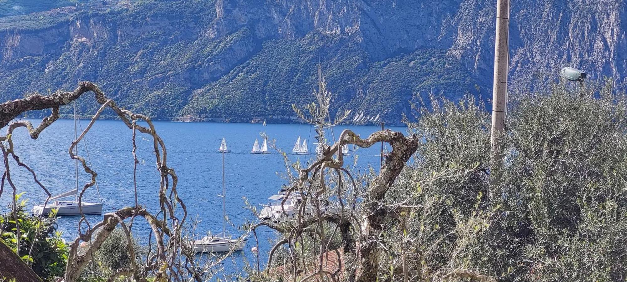 Marigarda Apartments Assenza di Brenzone Dış mekan fotoğraf
